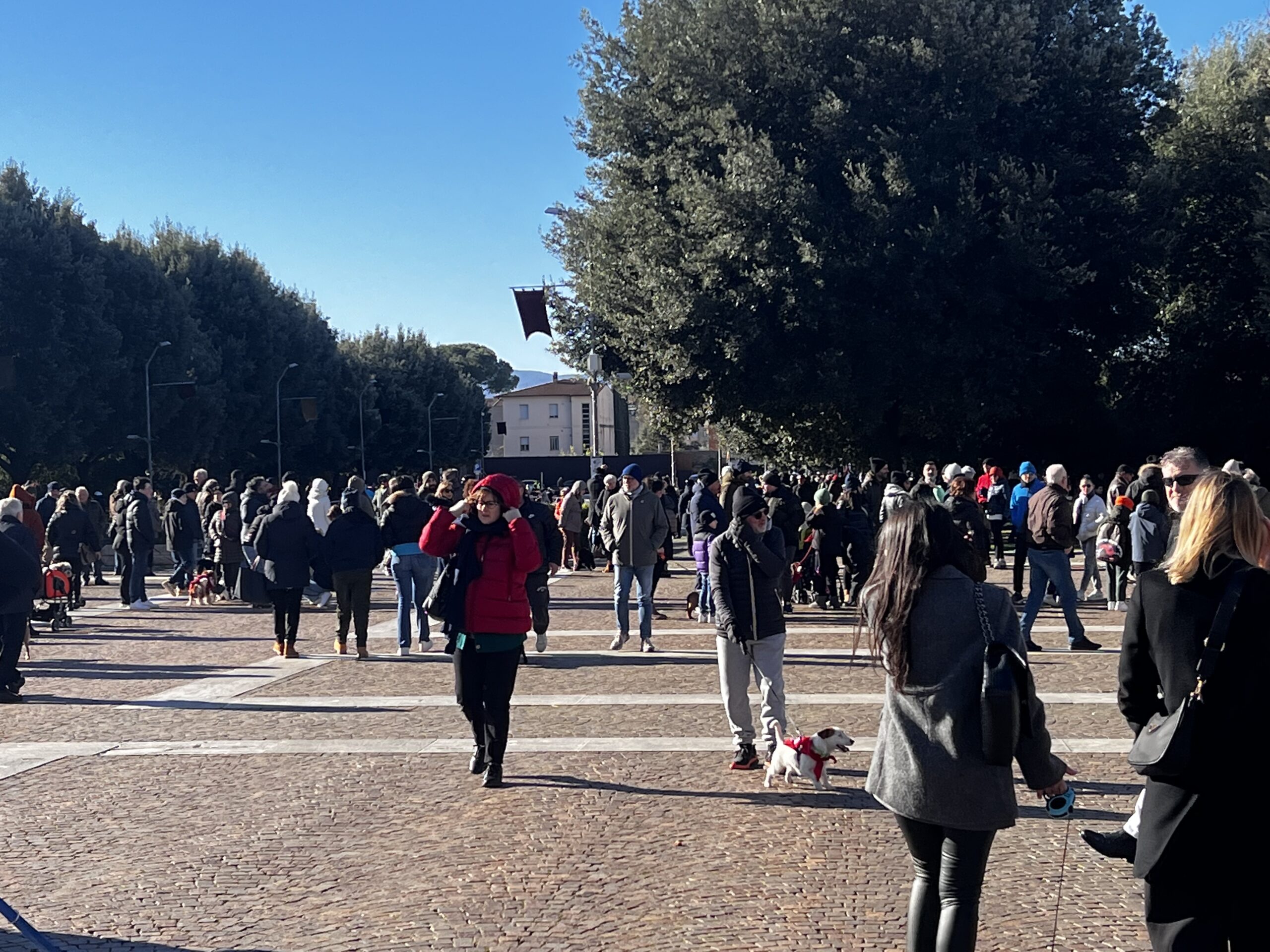Successo a Santa Maria degli Angeli per il Piatto di Sant’Antonio Abate (foto e video) 134