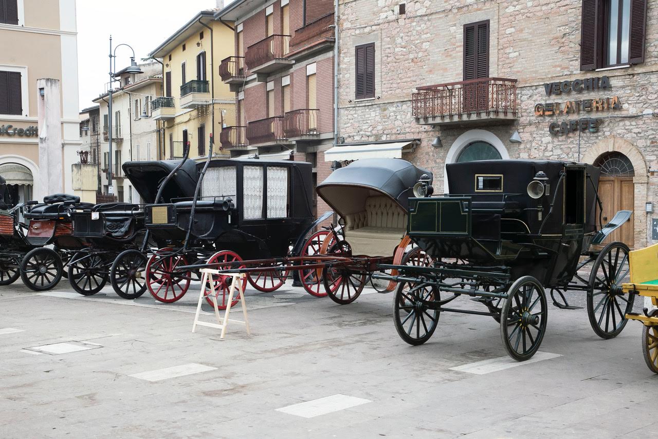 “Pet and technology for life”, piloti e conduttori a quattro zampe: successo a Santa Maria degli Angeli (foto+video) 73