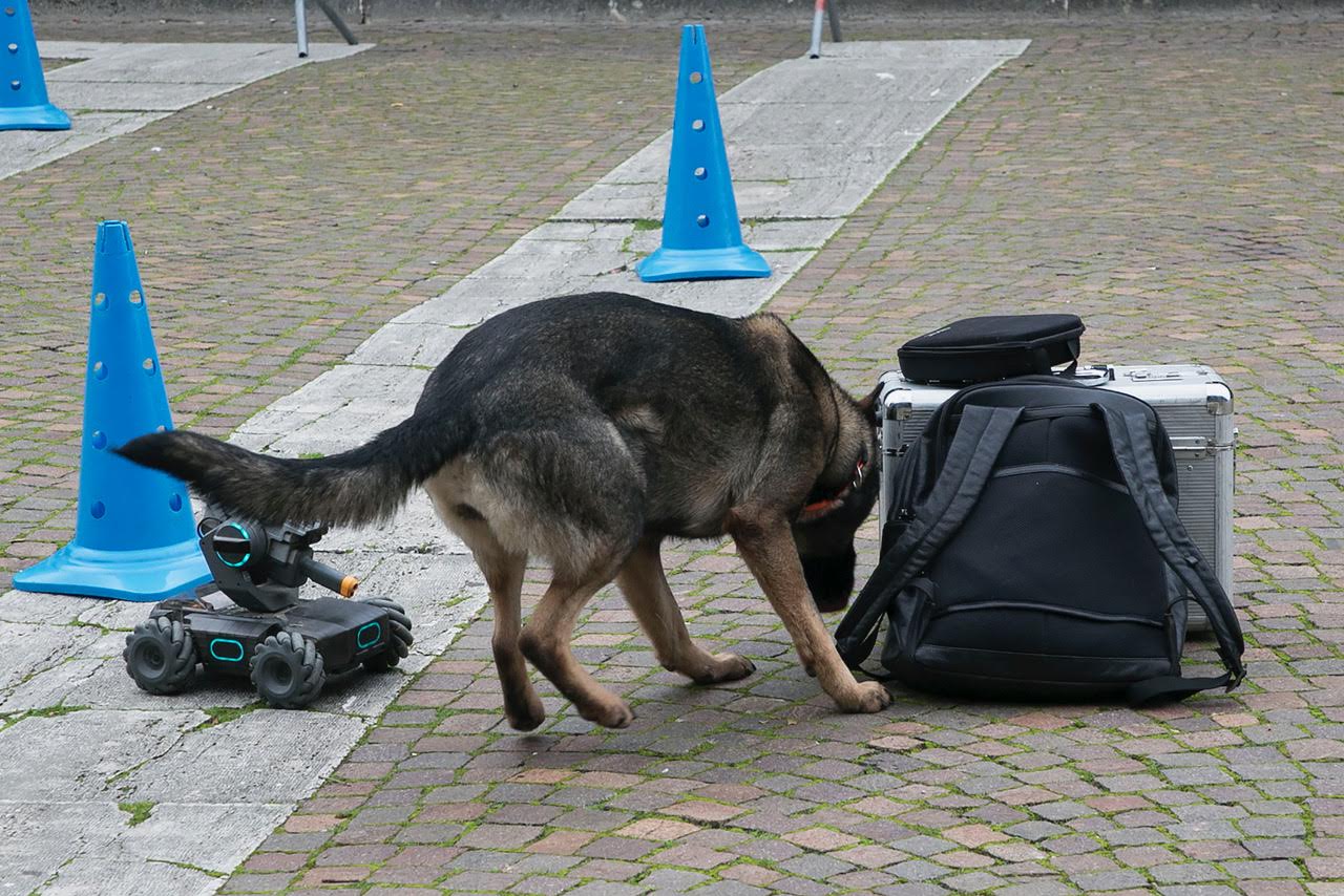 “Pet and technology for life”, piloti e conduttori a quattro zampe: successo a Santa Maria degli Angeli (foto+video) 53