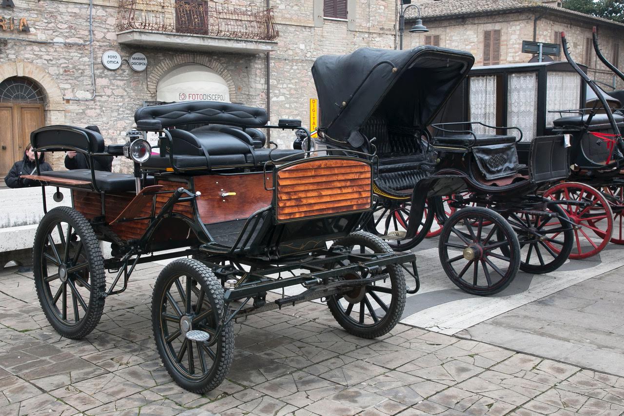 “Pet and technology for life”, piloti e conduttori a quattro zampe: successo a Santa Maria degli Angeli (foto+video) 67