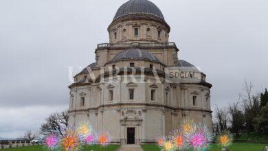 Festivita di Jiaming Du scaled