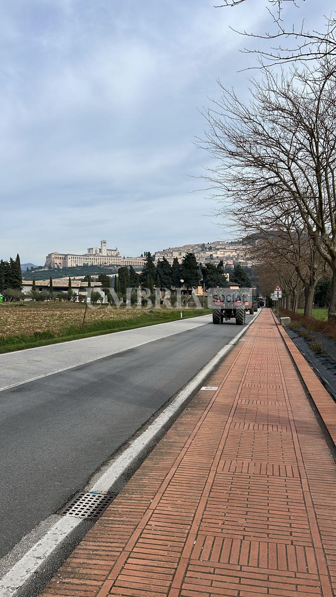 Continua la protesta degli agricoltori, a Bastia Umbra e Assisi trattori in strada (foto) 48
