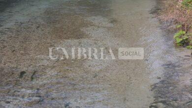 Alte temperature mettono a rischio la riproduzione delle trote: l'allarme di Legambiente Umbria 18 foto 1