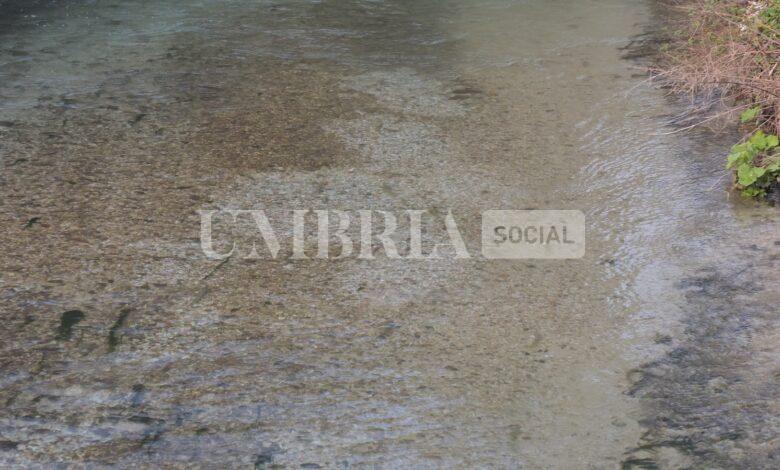 Alte temperature mettono a rischio la riproduzione delle trote: l'allarme di Legambiente Umbria 1 foto 1