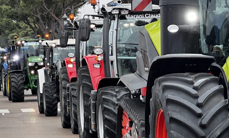 In tanti alla Festa degli Agricoltori fra Assisi e Bastia Umbra per ribadire l’importanza del comparto agricolo (foto+video) 1 8516DE38 8DF0 437E AA74 2174320414EE scaled