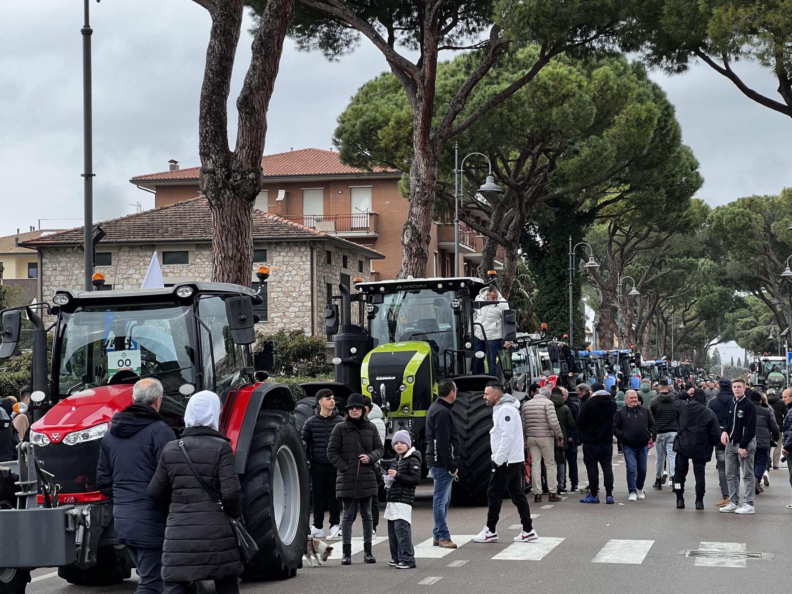 In tanti alla Festa degli Agricoltori fra Assisi e Bastia Umbra per ribadire l’importanza del comparto agricolo (foto+video) 10
