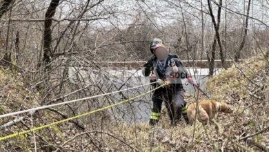 Con il cane in un dirupo, entrambi salvati dai Vigili del Fuoco (foto all’interno) 16 E6C06882 F7A3 4E81 A303 CF7C16E0DCB6