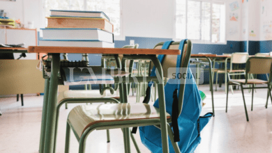Borse di studio per gli alunni delle scuole primarie e secondarie: al via le domande 16 Schermata 2024 02 05 alle 16.49.55