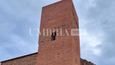 Schermata 2024 02 09 alle 16.50.49