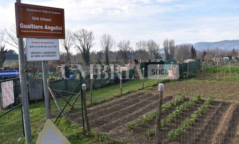 A Città di Castello nascono gli Orti solidali, primo progetto in Umbria di agricoltura sociale 1 WhatsApp Image 2024 02 16 at 13.46.23