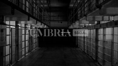 Terni, la denuncia del Sappe: "Poliziotti feriti dai detenuti" 7 emiliano bar OeAWU9VSHzo unsplash scaled