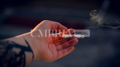 Deruta, da una tabaccheria sgraffigna sigarette, profumi e gratta e vinci: arrestato 29enne 12 irina iriser Pdty4SxW 2E unsplash scaled