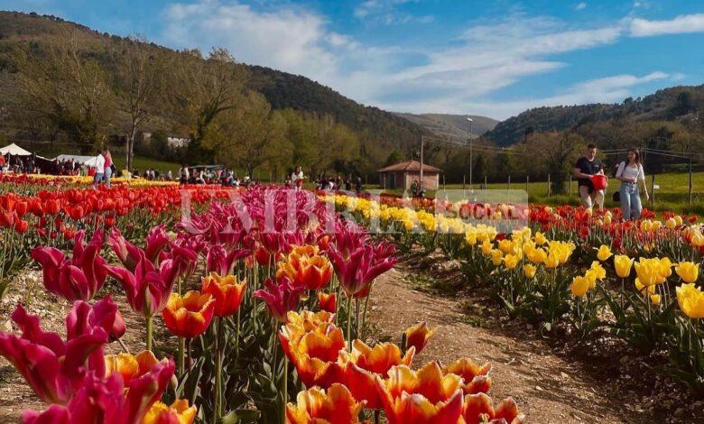 353404738 276132511613781 878096880395819184 n