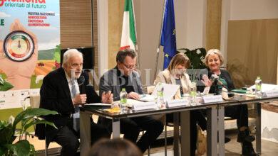 Agriumbria 2024, al via a Bastia Umbra l'edizione più grande di sempre 16 Foto 1