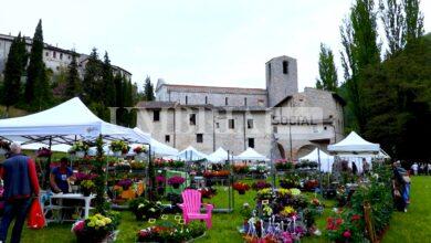 Primavera in Valnerina repertorio 11