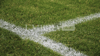 Serie B, netta sconfitta della Ternana contro la Sampdoria: al Ferraris finisce 4-1 5 Schermata 2024 04 02 alle 12.37.04