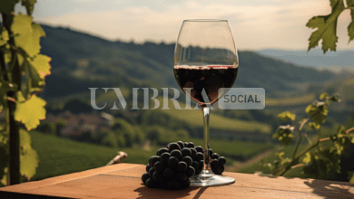 Schermata 2024 04 11 alle 15.52.50