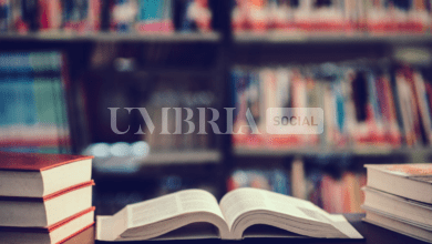 Pietralunga, la biblioteca "Ugo Diamanti" entra nel circuito regionale: spazi rinnovati e ulteriori 1.200 volumi 5 Schermata 2024 04 12 alle 15.48.22