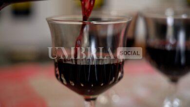anteprima festa della vernaccia di cannara 1