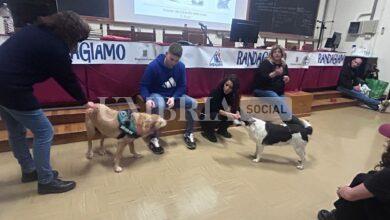 Progetto RandAgiamo, successo per il corso dei volontari del canile 9 corso volontari randagiamo1