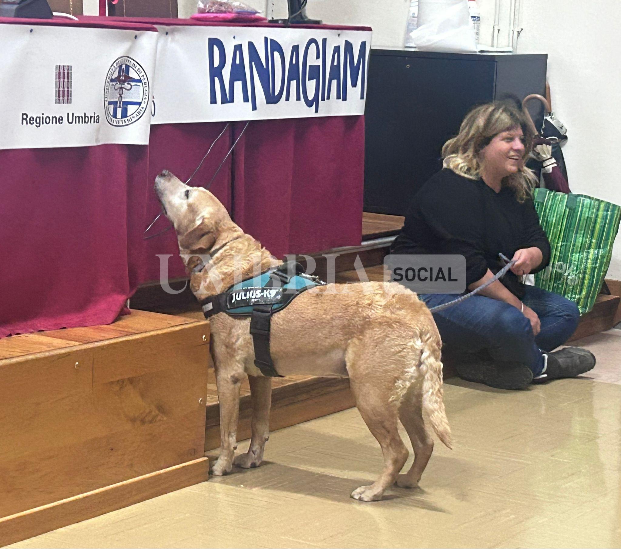 Progetto RandAgiamo, successo per il corso dei volontari del canile 2