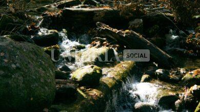 Afor interviene per la messa in sicurezza del torrente Sovara e Rio del Mancino: lavori per 400.000 mila euro 8 sean foster W9L4hHTGOxI unsplash scaled