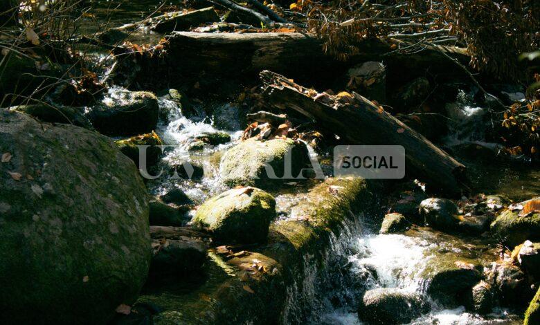 sean foster W9L4hHTGOxI unsplash scaled