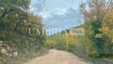 Giano dell'Umbria, in arrivo 40mila euro dall'Agenzia forestale regionale 9 strada afor