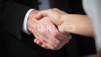 Fiere, pubblicato nel BUR il bando 2024 per supportare le imprese del territorio 7 Schermata 2024 05 08 alle 10.31.39