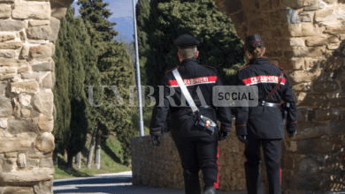 Schermata 2024 05 17 alle 11.30.00