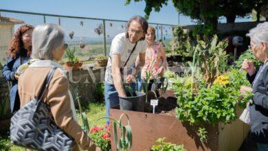 Hortus Trasimeni, a Castiglione del Lago un giardino per salvaguardare le specie a rischio 18 hortus3 scaled
