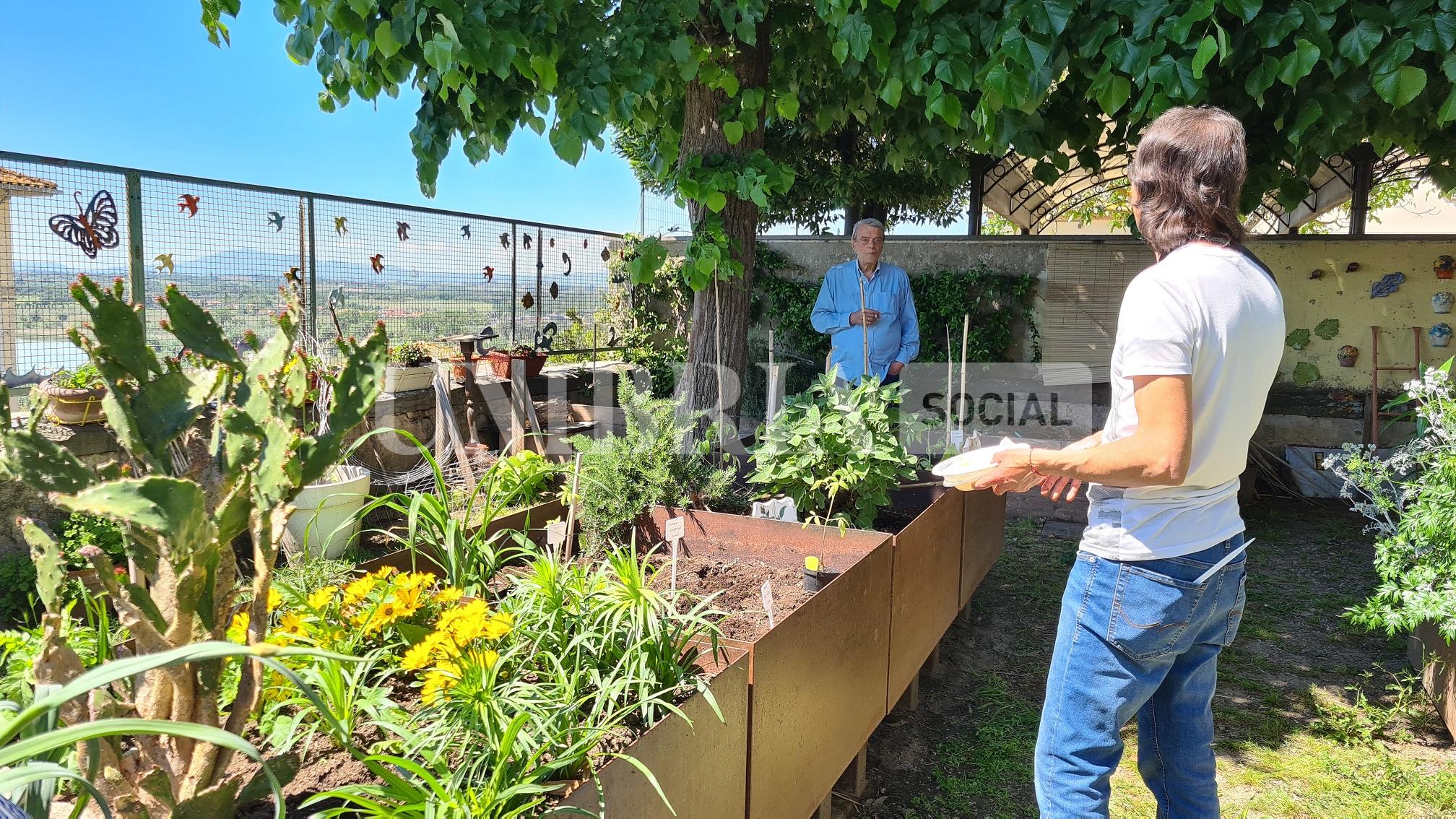 Hortus Trasimeni, a Castiglione del Lago un giardino per salvaguardare le specie a rischio 5 Hortus Trasimeni, a Castiglione del Lago un giardino per salvaguardare le specie a rischio 4