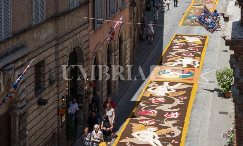 Torna l'infiorata di Città della Pieve, i petali raccontano il "viaggio" 1 DSC 3076