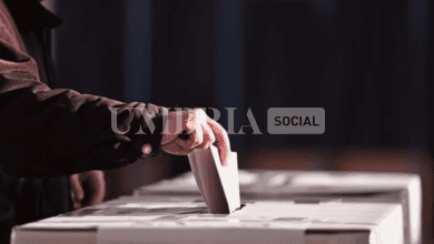 Elezioni Regionali 2024, come si vota? Ecco tutte le informazioni a riguardo 7