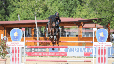 Equitazione, a Montefalco in scena i Campionati regionali 2024 22 IMG 4248