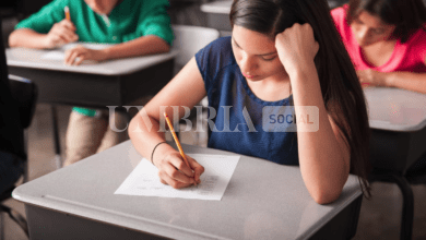 Maturità 2024, è il giorno della seconda prova: Platone al classico, matematica allo scientifico 9
