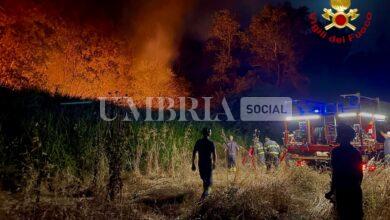 Incendio tra le province di Terni e Viterbo, spente le fiamme e bonifica al via 9
