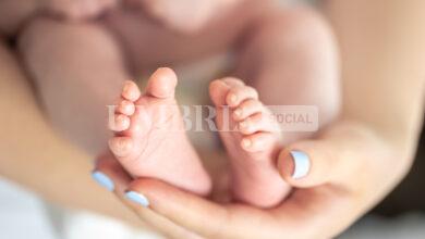 Bonus neo mamme, da mercoledì 26 giugno al via le domande: come fare 23