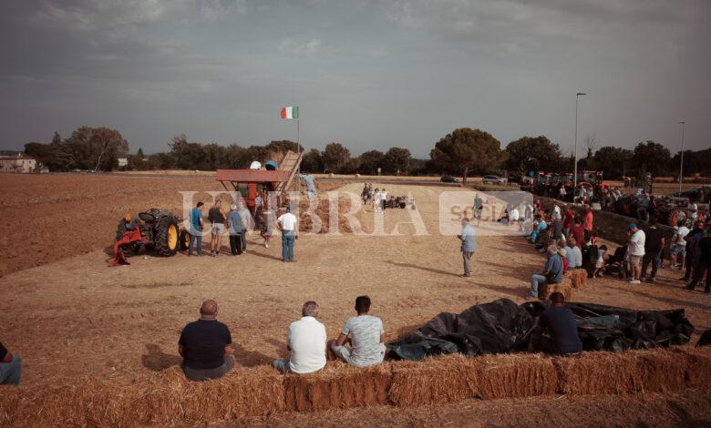 La Festa della Battitura, ad Agello una giornata per onorare la terra e la lavorazione del grano 2 La Festa della Battitura, ad Agello una giornata per onorare la terra e la lavorazione del grano 1