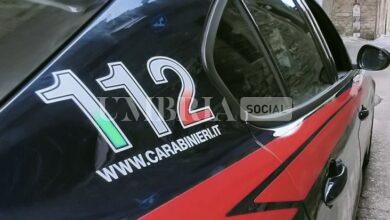 Bevagna, bimbo di 5 anni assalito da un rottweiler: è grave, indagano i Carabinieri 13 Bevagna, bimbo di 5 anni assalito da un rottweiler: è grave, indagano i Carabinieri 12