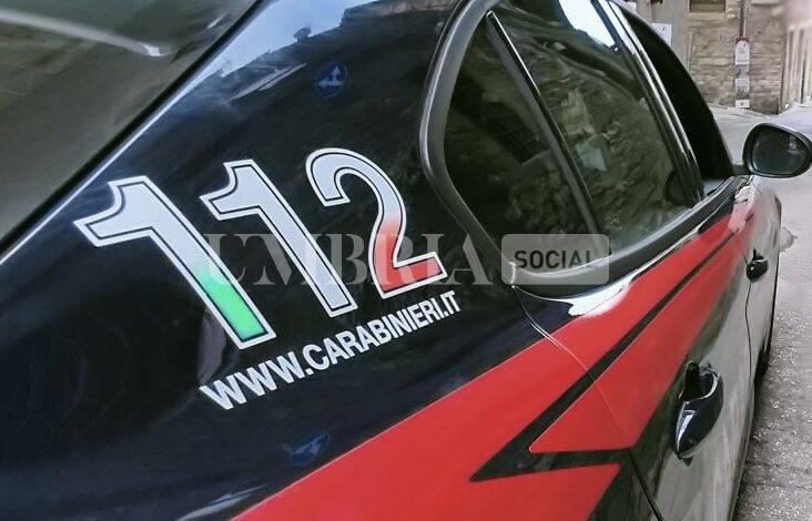 Bevagna, bimbo di 5 anni assalito da un rottweiler: è grave, indagano i Carabinieri 2 Bevagna, bimbo di 5 anni assalito da un rottweiler: è grave, indagano i Carabinieri 1