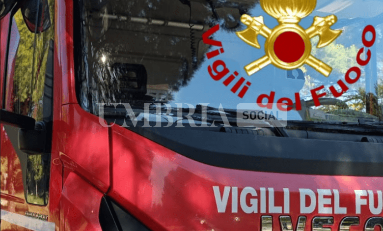 Bloccato dal fango in un fosso da cui tentava di prendere dell'acqua: salvato dai pompieri 2 Bloccato dal fango in un fosso da cui tentava di prendere dell'acqua: salvato dai pompieri 1