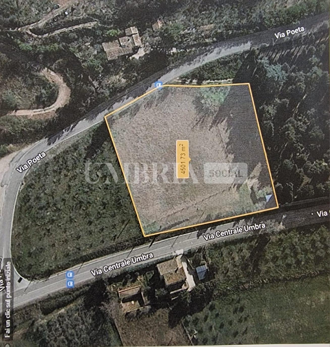 Spello, la Provincia acquista terreno adiacente a Villa Fidelia: "Costruiremo una limonaia" 3