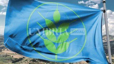 Spighe Verdi 2024, salgono a otto i Comuni premiati in Umbria: c'è anche Trevi 7