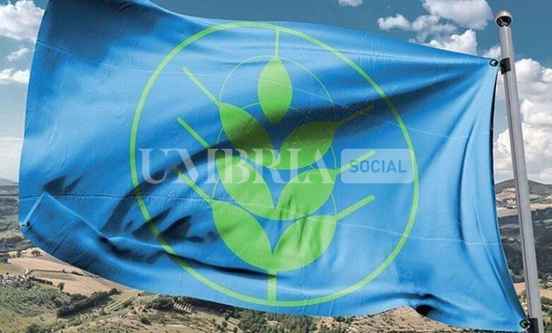 Spighe Verdi 2024, salgono a otto i Comuni premiati in Umbria: c'è anche Trevi 2 Spighe Verdi 2024, salgono a otto i Comuni premiati in Umbria: c'è anche Trevi 1