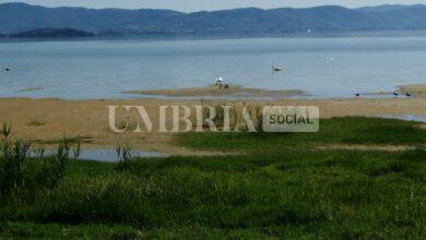 La Giunta regionale stanzia 12 milioni per “Città del Trasimeno” 19 La Giunta regionale stanzia 12 milioni per “Città del Trasimeno” 18