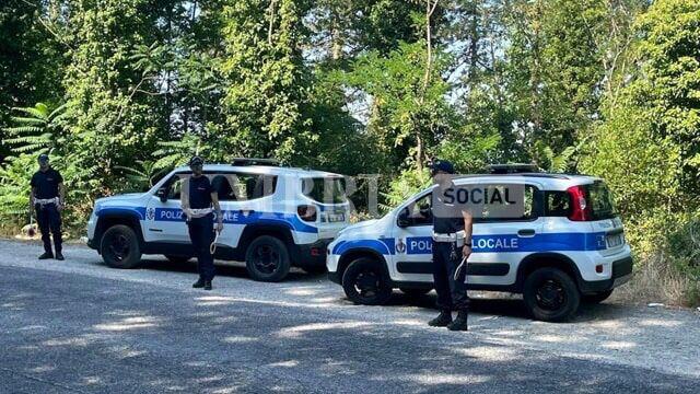 Investì un cane provocandone la morte: denunciato per “uccisione di animali” 2 Investì un cane provocandone la morte: denunciato per “uccisione di animali” 1