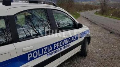 Polizia provinciale rintraccia anziana signora che si era smarrita: è tornata in famiglia 18