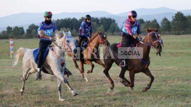 Endurance equestre, la perugina Costanza Laliscia trascina l’Italia sul gradino più alto del podio 5
