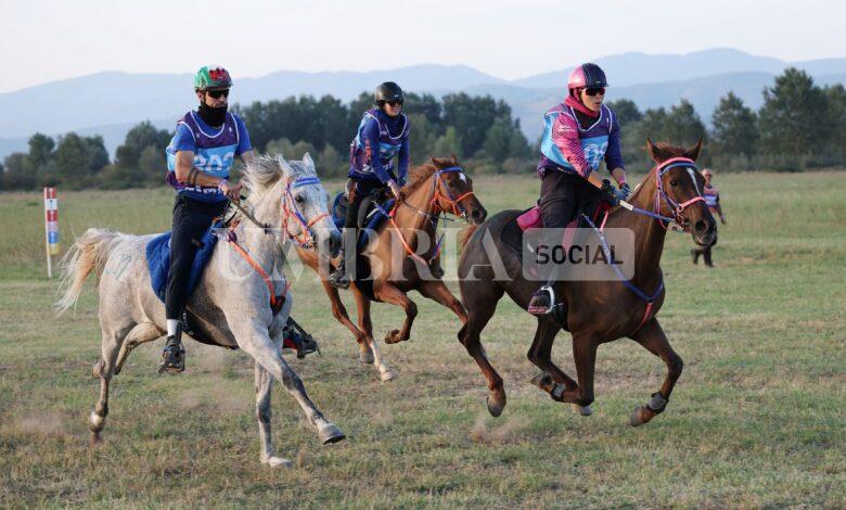 Endurance equestre, la perugina Costanza Laliscia trascina l’Italia sul gradino più alto del podio 2 Endurance equestre, la perugina Costanza Laliscia trascina l’Italia sul gradino più alto del podio 1